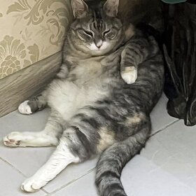 �����, �����, ��� � ����� ������� ������.