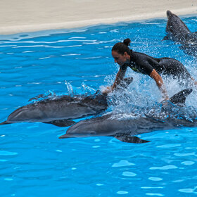 ���������.