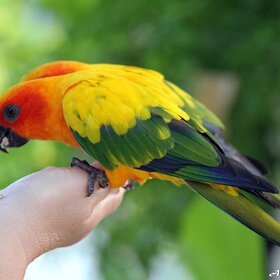 ���������.