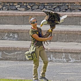 �������������� �����.