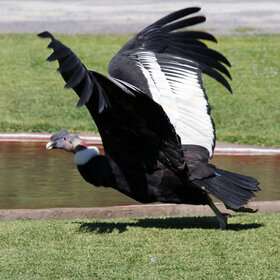 ������� ��������...