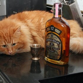 � ����������� ������, � �� ��� ����� �����.