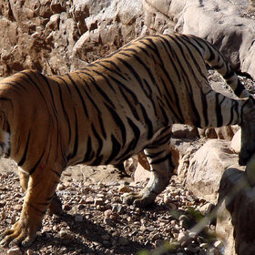 ��������� ��������...