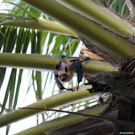 ��� ������, ��� ���������...