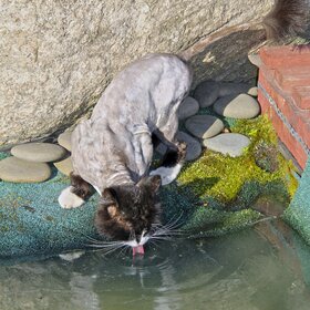 �� �������.