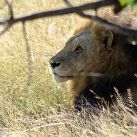 ������� ���� � ����������.