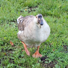 ����� ������ �������, ��� ���������.