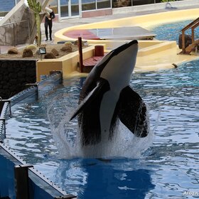 ������ �� ������.