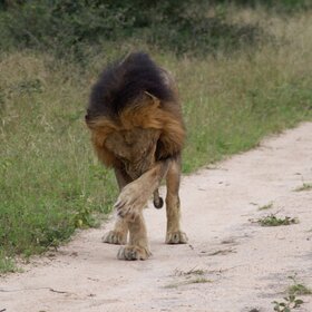 ��...���!!!