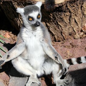 "�����, �� �� ���� �� ��� ���"...