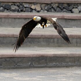 �� �������...