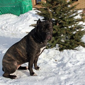 ��������� �������.