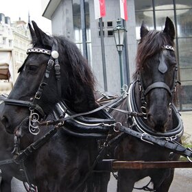 ��� ������ ������ �������...