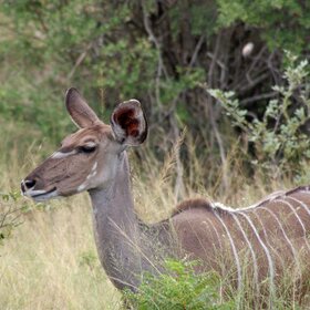 � ����� ���� ����� ������� ���? ����� ��� �� ����.