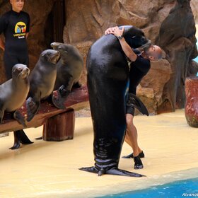 �������� ��� ������...